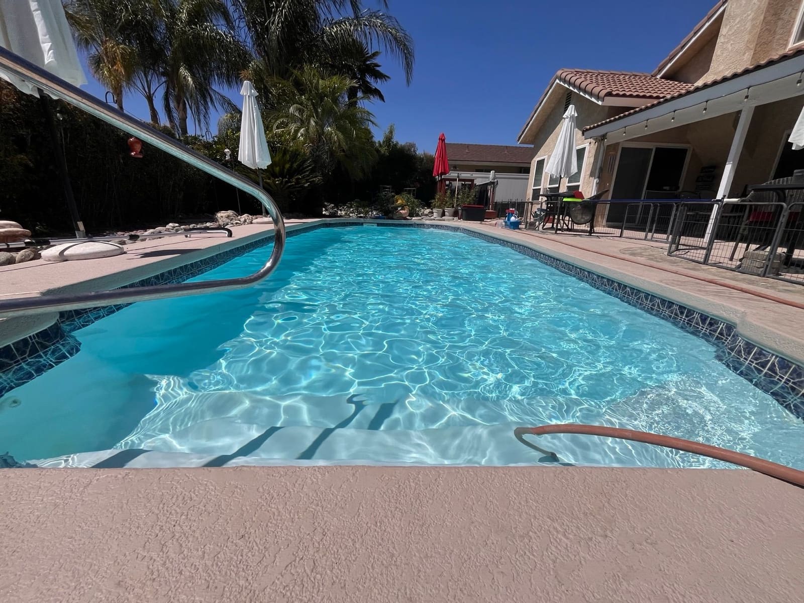 Backyard swimming pool with palm trees after routine maintenance